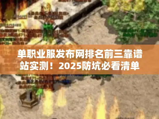 单职业服发布网排名前三靠谱站实测！2025防坑必看清单