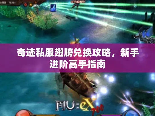 奇迹私服翅膀兑换攻略，新手进阶高手指南