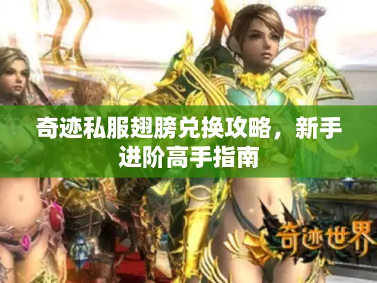 奇迹私服翅膀兑换攻略，新手进阶高手指南