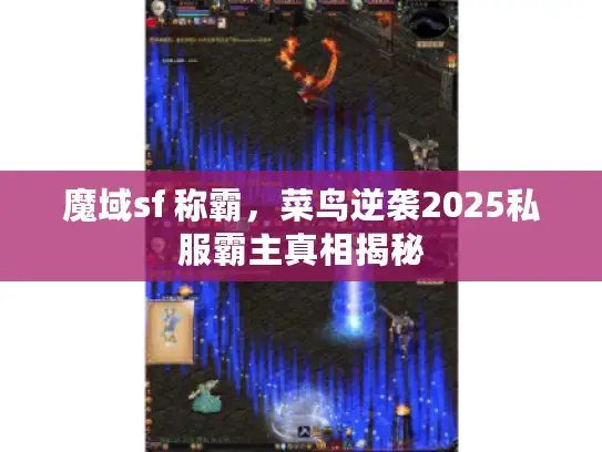魔域sf 称霸，菜鸟逆袭2025私服霸主真相揭秘
