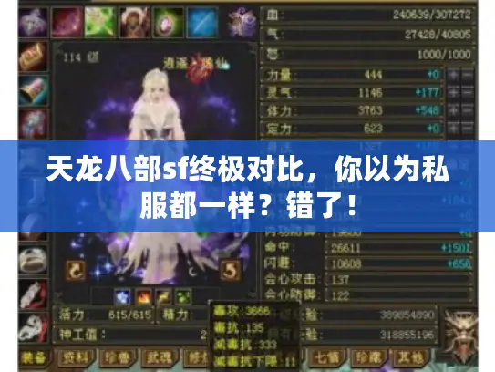 天龙八部sf终极对比，你以为私服都一样？错了！