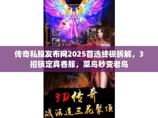 传奇私服发布网2025首选终极拆解,3招锁定真香服,菜鸟秒变老鸟 传奇私服发布网2025首选终极拆解,3招锁定真香服,菜鸟秒变老鸟