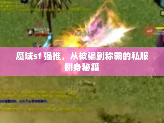 魔域sf 强推,从被骗到称霸的私服翻身秘籍 魔域sf 强推,从被骗到称霸的私服翻身秘籍