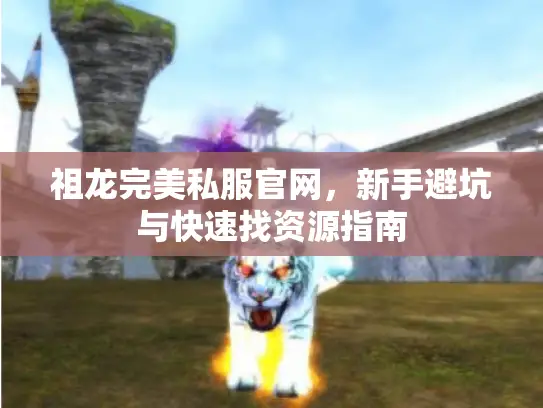 祖龙完美私服官网，新手避坑与快速找资源指南