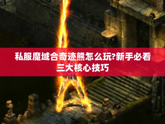 私服魔域合奇迹熊怎么玩?新手必看三大核心技巧
