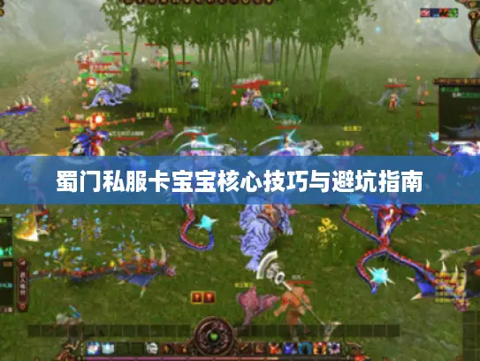 蜀门私服卡宝宝核心技巧与避坑指南
