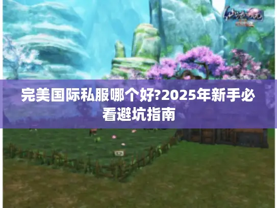 完美国际私服哪个好?2025年新手必看避坑指南