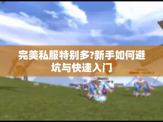 完美私服特别多?新手如何避坑与快速入门