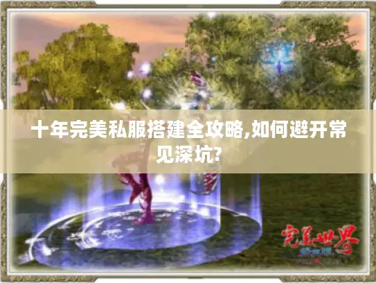 十年完美私服搭建全攻略,如何避开常见深坑?