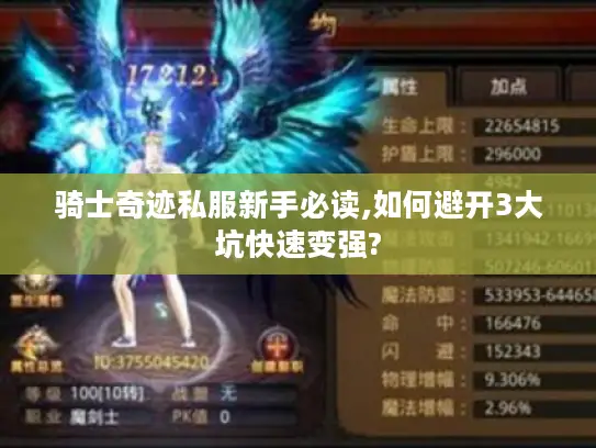 骑士奇迹私服新手必读,如何避开3大坑快速变强?