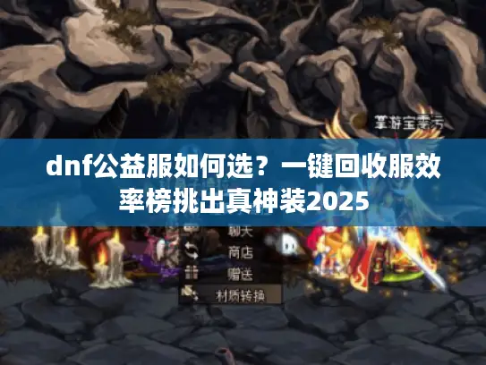dnf公益服如何选？一键回收服效率榜挑出真神装2025
