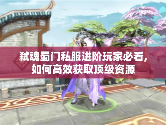 弑魂蜀门私服进阶玩家必看,如何高效获取顶级资源