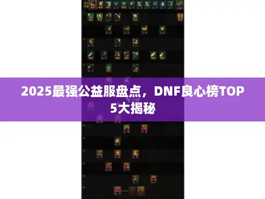 2025最强公益服盘点,DNF良心榜TOP5大揭秘 2025最强公益服盘点,DNF良心榜TOP5大揭秘