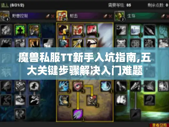 魔兽私服TT新手入坑指南,五大关键步骤解决入门难题