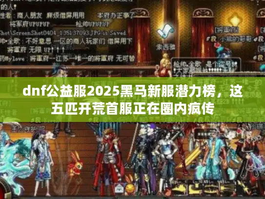 dnf公益服2025黑马新服潜力榜，这五匹开荒首服正在圈内疯传
