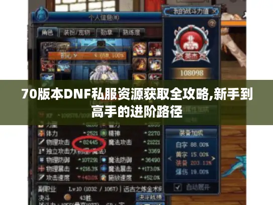 70版本DNF私服资源获取全攻略,新手到高手的进阶路径