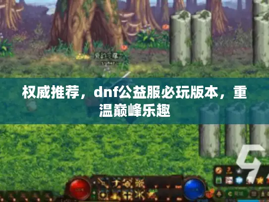 权威推荐，dnf公益服必玩版本，重温巅峰乐趣