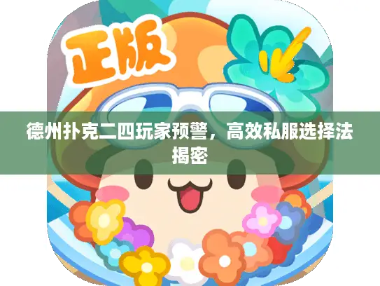 德州扑克二四玩家预警，高效私服选择法揭密