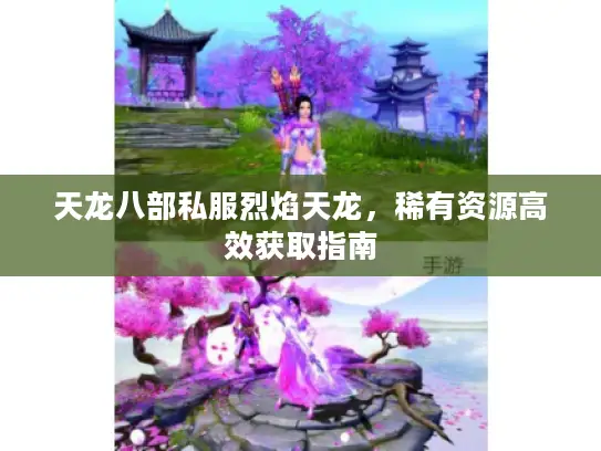 天龙八部私服烈焰天龙,稀有资源高效获取指南 天龙八部私服烈焰天龙,稀有资源高效获取指南