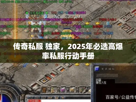 传奇私服 独家，2025年必选高爆率私服行动手册
