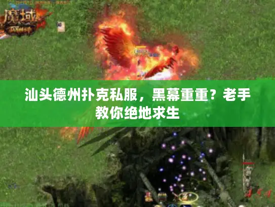 汕头德州扑克私服，黑幕重重？老手教你绝地求生