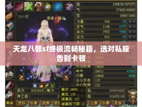 天龙八部sf终极流畅秘籍，选对私服告别卡顿