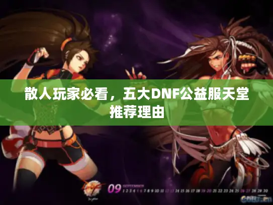 散人玩家必看，五大DNF公益服天堂推荐理由