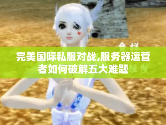 完美国际私服对战,服务器运营者如何破解五大难题 完美国际私服对战,服务器运营者如何破解五大难题