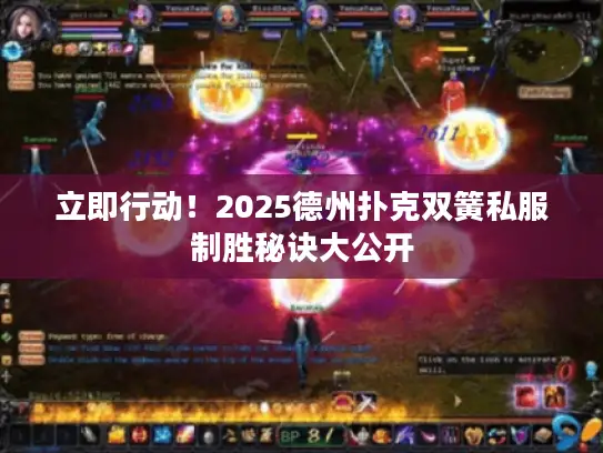 立即行动！2025德州扑克双簧私服制胜秘诀大公开