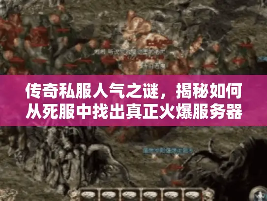 传奇私服人气之谜，揭秘如何从死服中找出真正火爆服务器！