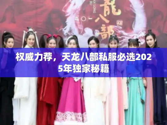 权威力荐，天龙八部私服必选2025年独家秘籍