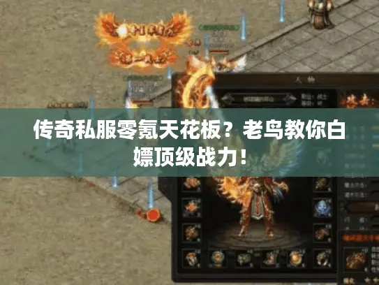 传奇私服零氪天花板？老鸟教你白嫖顶级战力！