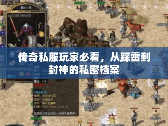 传奇私服玩家必看，从踩雷到封神的私密档案