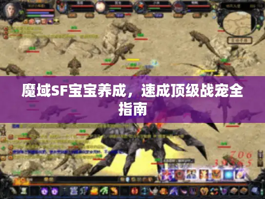 魔域SF宝宝养成，速成顶级战宠全指南