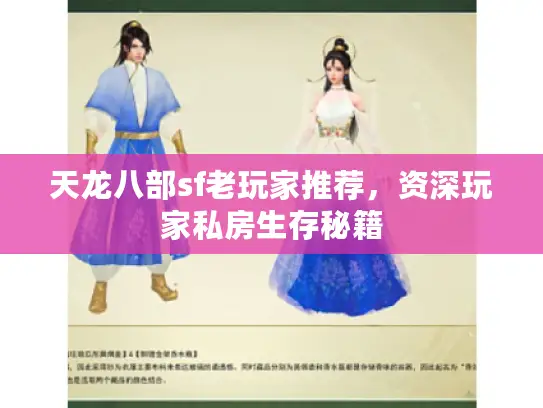 天龙八部sf老玩家推荐,资深玩家私房生存秘籍 天龙八部sf老玩家推荐,资深玩家私房生存秘籍