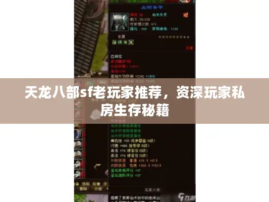 天龙八部sf老玩家推荐,资深玩家私房生存秘籍 天龙八部sf老玩家推荐,资深玩家私房生存秘籍