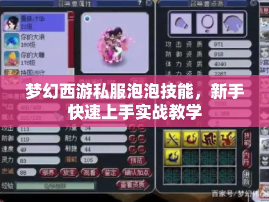梦幻西游私服泡泡技能，新手快速上手实战教学
