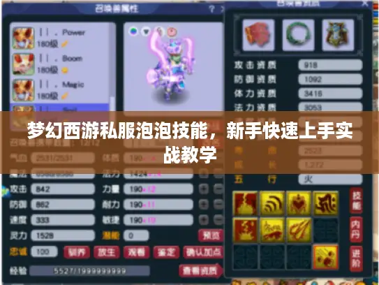梦幻西游私服泡泡技能，新手快速上手实战教学