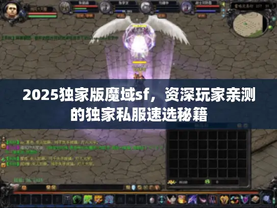 2025独家版魔域sf，资深玩家亲测的独家私服速选秘籍