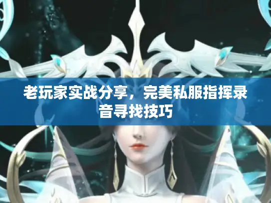 老玩家实战分享，完美私服指挥录音寻找技巧
