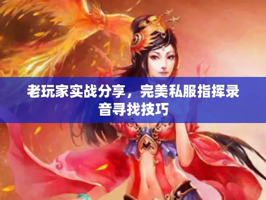 老玩家实战分享，完美私服指挥录音寻找技巧