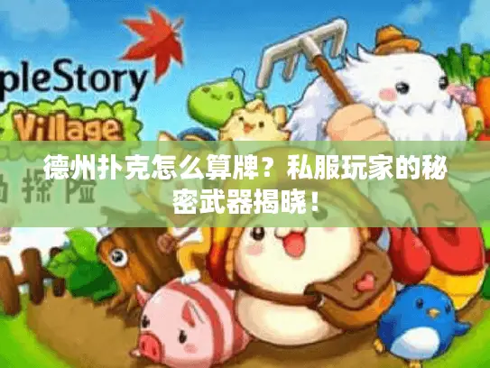 德州扑克怎么算牌？私服玩家的秘密武器揭晓！