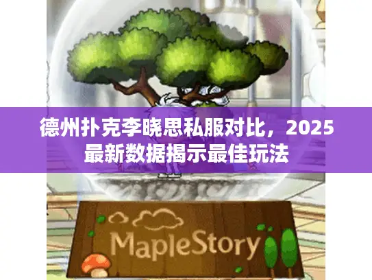 德州扑克李晓思私服对比，2025最新数据揭示最佳玩法