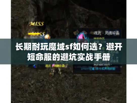 长期耐玩魔域sf如何选？避开短命服的避坑实战手册