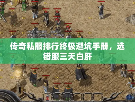 传奇私服排行终极避坑手册，选错服三天白肝