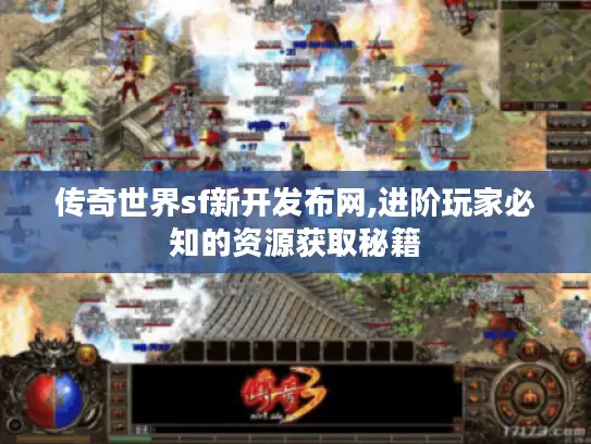 传奇世界sf新开发布网,进阶玩家必知的资源获取秘籍 传奇世界sf新开发布网,进阶玩家必知的资源获取秘籍