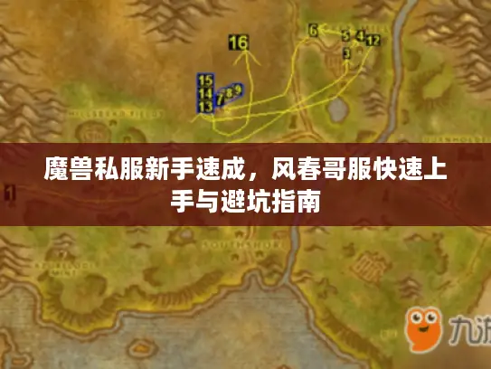 魔兽私服新手速成，风春哥服快速上手与避坑指南