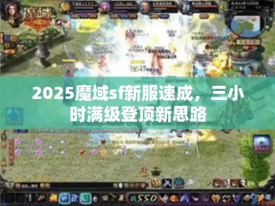 2025魔域sf新服速成，三小时满级登顶新思路