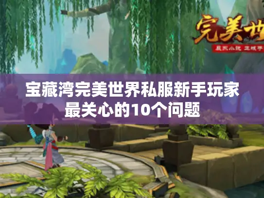 宝藏湾完美世界私服新手玩家最关心的10个问题