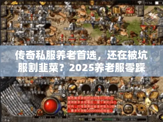传奇私服养老首选,还在被坑服割韭菜?2025养老服零踩坑攻略 传奇私服养老首选,还在被坑服割韭菜?2025养老服零踩坑攻略